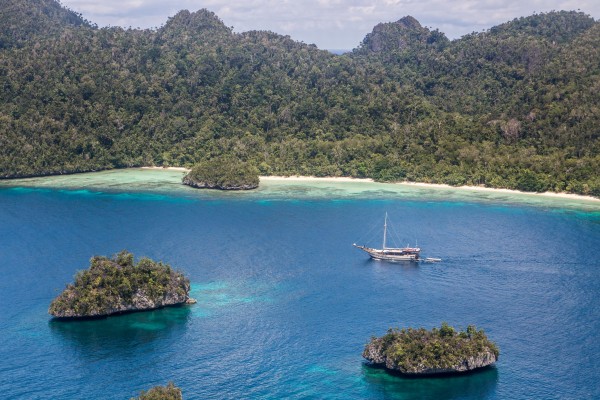 Фридайв-путешествие "Погружение". Раджа Ампат Фридайв-путешествие "Погружение". Раджа Ампат