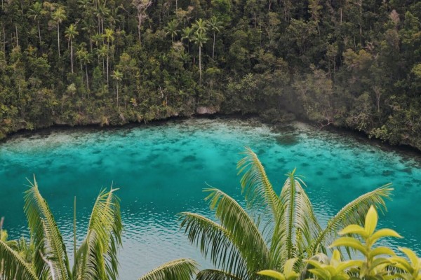Фридайв-путешествие "Погружение". Раджа Ампат Фридайв-путешествие "Погружение". Раджа Ампат