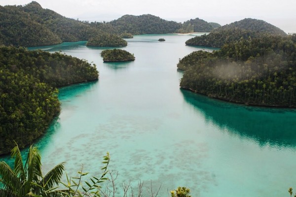 Фридайв-путешествие "Погружение". Раджа Ампат Фридайв-путешествие "Погружение". Раджа Ампат