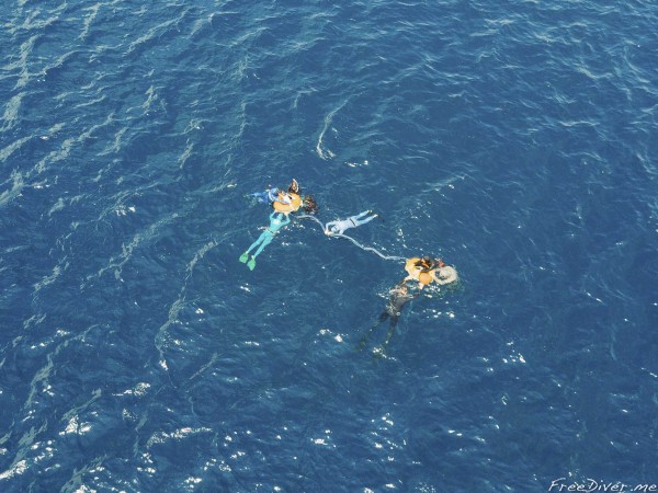 Фридайв-путешествие "Погружение". Фридайвинг Фридайв-путешествие "Погружение". Фридайвинг