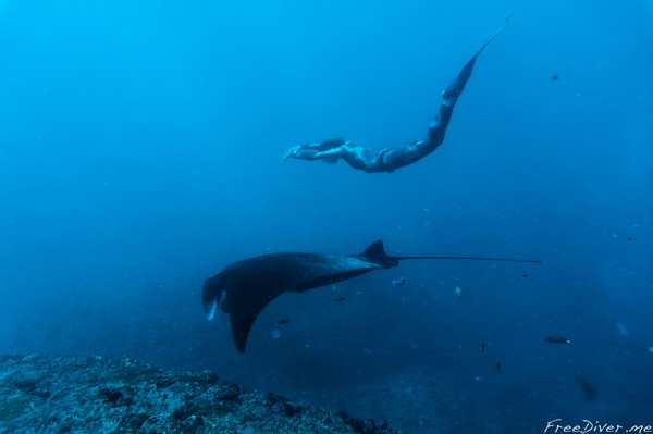 Итоги года 2017 Итоги года 2017