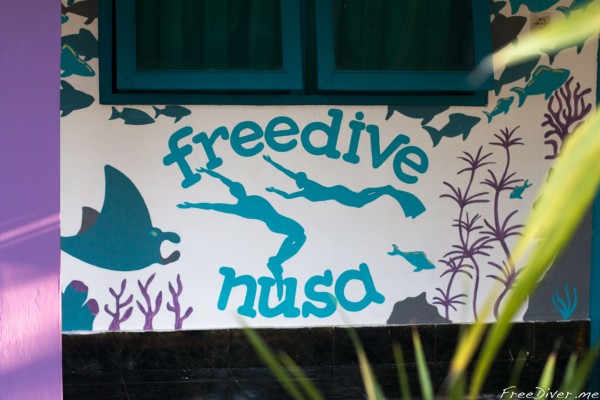 Итоги года 2017 Итоги года 2017