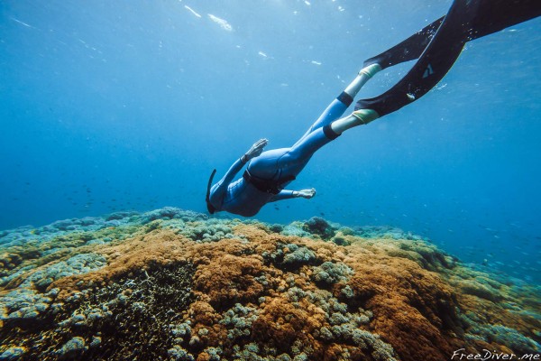 Новогодний фридайв-кэмп на Нуса Пениде Новогодний фридайв-кэмп на Нуса Пениде