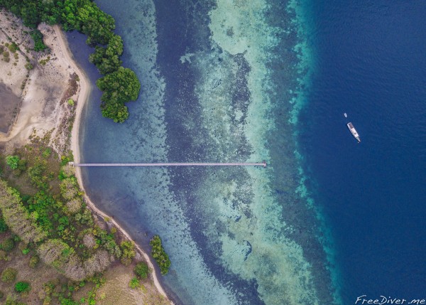 Фридайв-путешествие "Погружение". Раджа Ампат Фридайв-путешествие "Погружение". Раджа Ампат