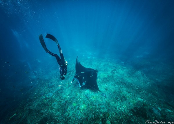 Фридайв-сафари на Комодо Фридайв-сафари на Комодо