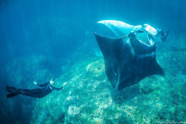 Фридайв-путешествие "Погружение" Фридайв-путешествие "Погружение"