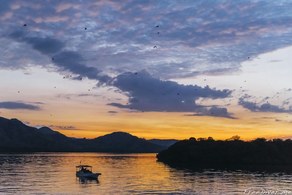 Фридайв-путешествие "Погружение" Фридайв-путешествие "Погружение"