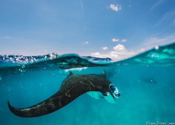 Фридайв-путешествие "Погружение". Нуса Пенида Фридайв-путешествие "Погружение". Нуса Пенида