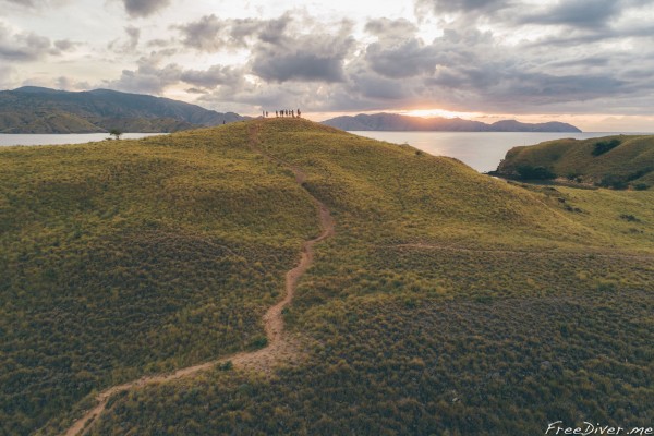 Фридайв-сафари на Комодо Фридайв-сафари на Комодо