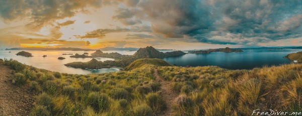 Фридайв-сафари на Комодо Фридайв-сафари на Комодо