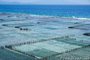 Нуса Пенида Нуса Пенида