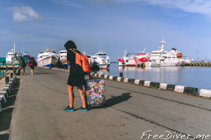 Фридайв-путешествие "Погружение". Архипелаг Раджа Ампат, Индонезия Фридайв-путешествие "Погружение". Архипелаг Раджа Ампат, Индонезия