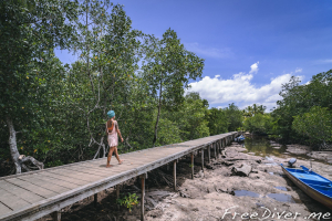 Фридайв-путешествие "Погружение". Архипелаг Раджа Ампат, Индонезия Фридайв-путешествие "Погружение". Архипелаг Раджа Ампат, Индонезия