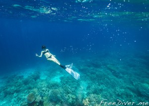 Фридайв-путешествие "Погружение" Фридайв-путешествие "Погружение"