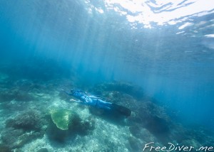 Фридайв-путешествие "Погружение" Фридайв-путешествие "Погружение"