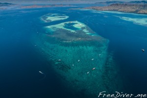 Фридайв-сафари на Комодо Фридайв-сафари на Комодо