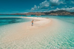 Фридайв-сафари на Комодо Фридайв-сафари на Комодо