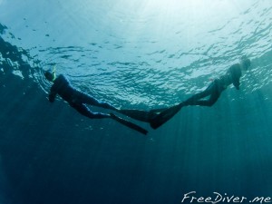 Фридайвинг на Комодо Фридайвинг на Комодо