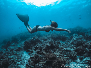 Фридайв-путешествие "Погружение". Архипелаг Раджа Ампат, Индонезия Фридайв-путешествие "Погружение". Архипелаг Раджа Ампат, Индонезия