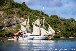 Национальный парк Комодо Национальный парк Комодо