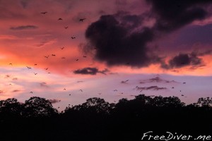 Национальный парк Комодо Национальный парк Комодо