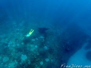 Обучение фридайвингу на Бали Обучение фридайвингу на Бали